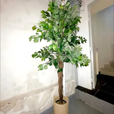 Maison Hyper Centre - Patio - Tv 4k - Wifi-fibre - 4 - Machine A Laver - Seche Linge - Lave Vaisselle - Confort - Spacieux Apartment *