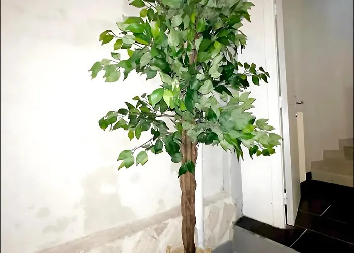 Maison Hyper Centre - Patio - Tv 4k - Wifi-fibre - 4 - Machine A Laver - Seche Linge - Lave Vaisselle - Confort - Spacieux アパート *