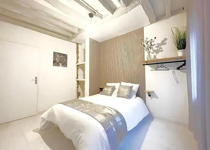 Maison Hyper Centre - Patio - Tv 4k - Wifi-fibre - 4 - Machine A Laver - Seche Linge - Lave Vaisselle - Confort - Spacieux * ルーアン